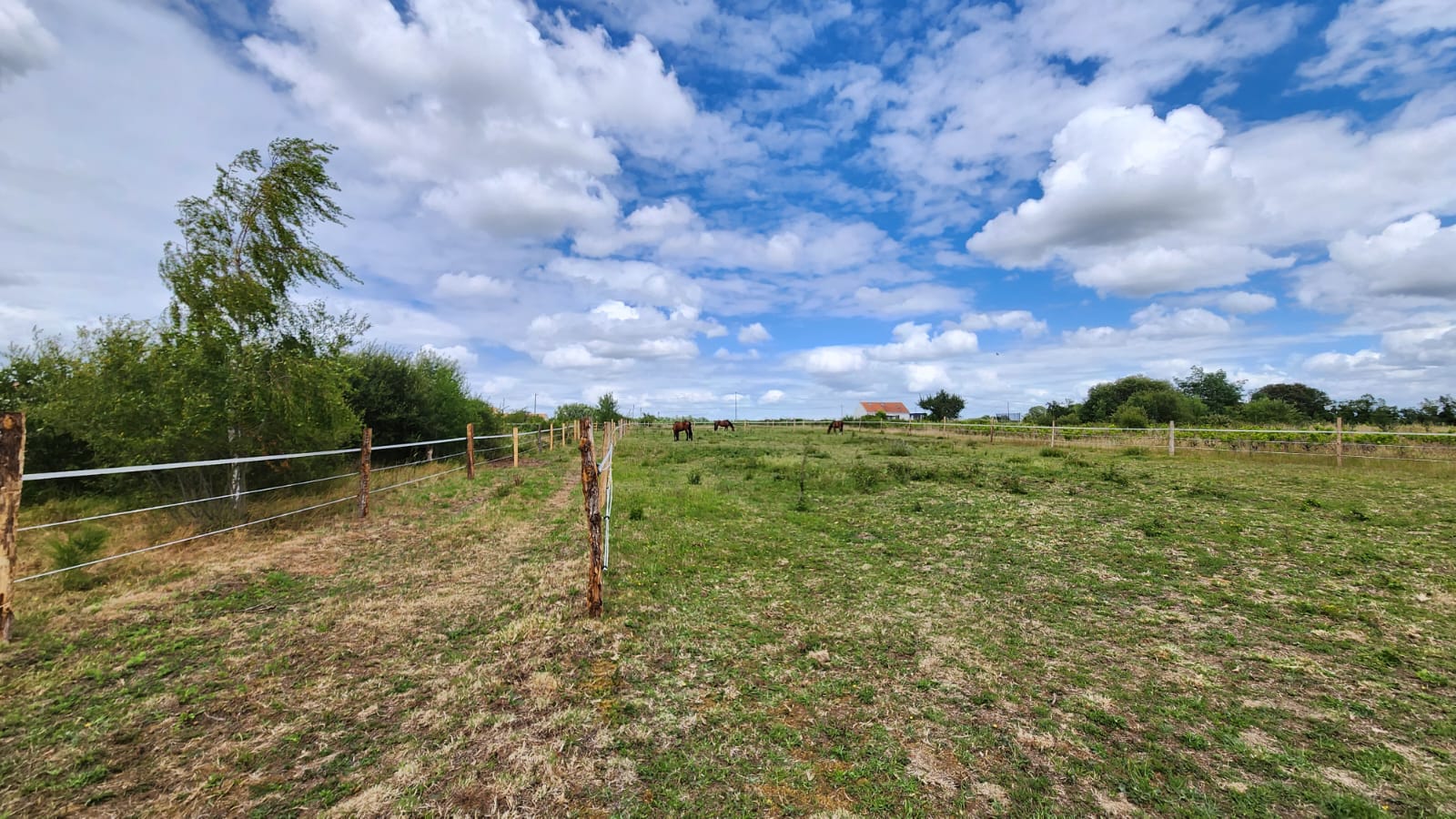 Paddocks de l'écurie de la Bel